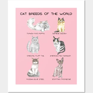 Cats Breeds of the World Posters and Art